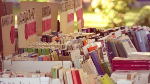 Mercat de llibres 